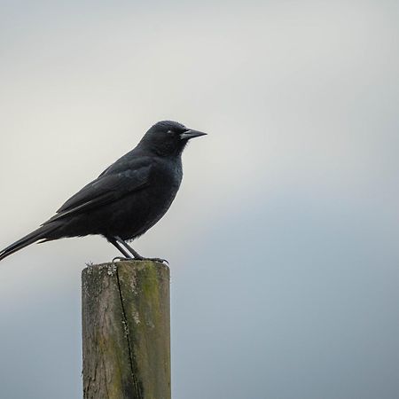 Parque La Pajarera Hotell Puerto Varas Eksteriør bilde